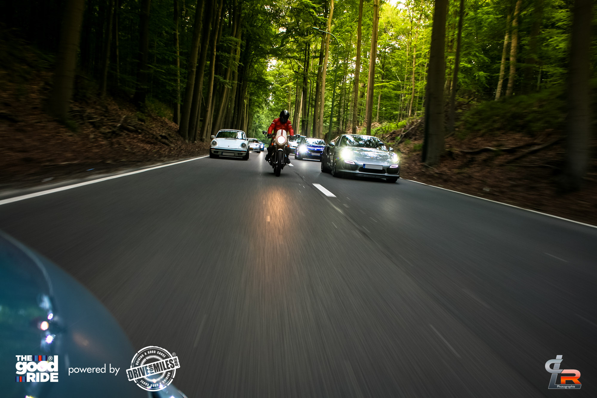 Convoy of sports cars and a motorbike on a forest road
